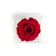Fleur de luxe montreal fleurs eternity roses forever roses flower box montreal  mfleurs  fleurs pas cher venus et fleurs montreal flowers delivery fleurs rose éternelle ever lasting roses gift box valentine day champagne gift card red sephora chocolate luxury toronto