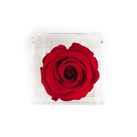 Fleur de luxe montreal fleurs eternity roses forever roses flower box montreal  mfleurs  fleurs pas cher venus et fleurs montreal flowers delivery fleurs rose éternelle ever lasting roses gift box valentine day champagne gift card red sephora chocolate luxury toronto