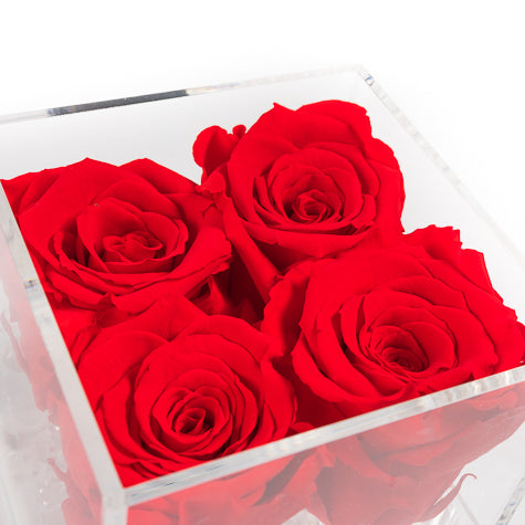 Fleur de luxe montreal fleurs  mfleurs eternity roses  preserved roses forever roses flower box montreal  mfleurs  fleurs pas cher venus et fleurs montreal flowers delivery fleurs rose éternelle ever lasting roses gift box valentine day champagne gift card red sephora chocolate luxury toronto florist eternal roses black roses Mother's Day