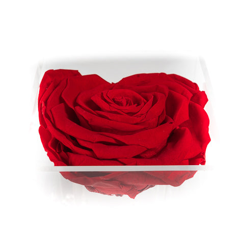 Fleur de luxe montreal fleurs eternity roses forever roses flower box montreal  mfleurs  fleurs pas cher venus et fleurs montreal flowers delivery fleurs rose éternelle ever lasting roses gift box valentine day champagne gift card red sephora chocolate luxury toronto