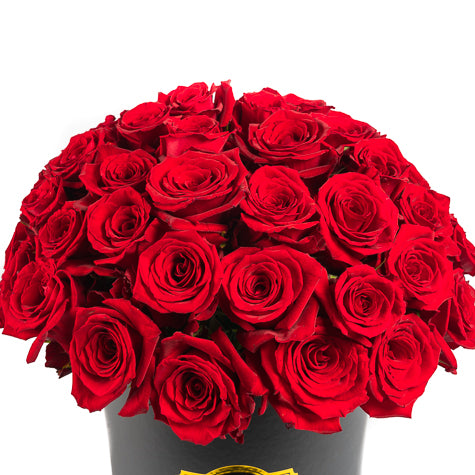 Fleur de luxe montreal fleurs eternity roses forever roses flower box montreal  mfleurs  fleurs pas cher venus et fleurs montreal flowers delivery fleurs rose éternelle ever lasting roses gift box valentine day champagne gift card red sephora chocolate luxury toronto